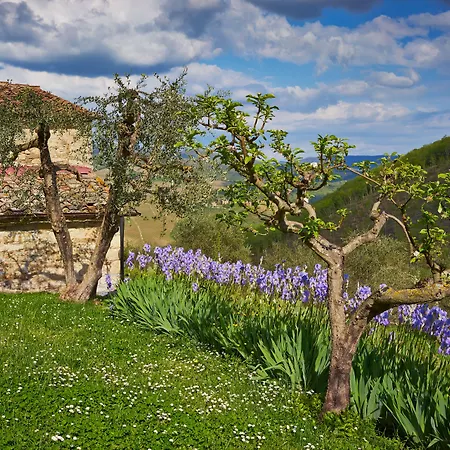 Querceto Di Castellina-2