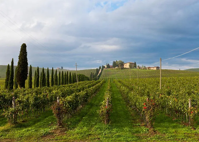 Agriturismo Casale Dello Sparviero Castellina in Chianti